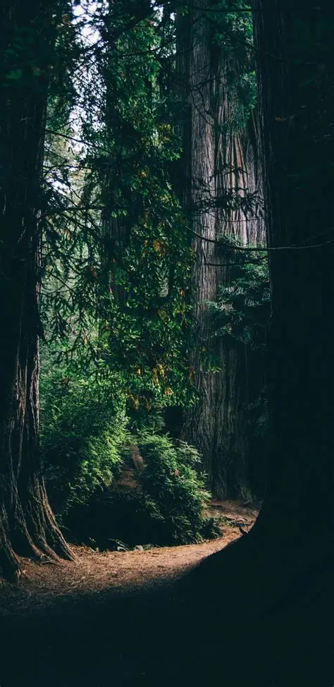 It is a tall building